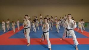 Waarom drie Heerlense broers niet voor hetzelfde land vechten; gebroeders Timmermans dienen Nederland èn Curaçao op WK karate 
