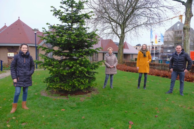 De buurtboom die zorgt voor sfeer en saamhorigheid wordt langzaamaan een traditie in de gemeente Nederweert 