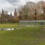 Noodkreet over watervogels in Dierenpark Hoensbroek: ‘Geef ze hun vrijheid terug’ 