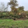 Agrariër uit Venray ontloopt boete na illegaal rooien bomen bij nieuwbouwwijk