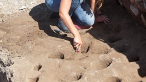 Archeologisch onderzoek ten zuiden voorhaven Maaspark Well
