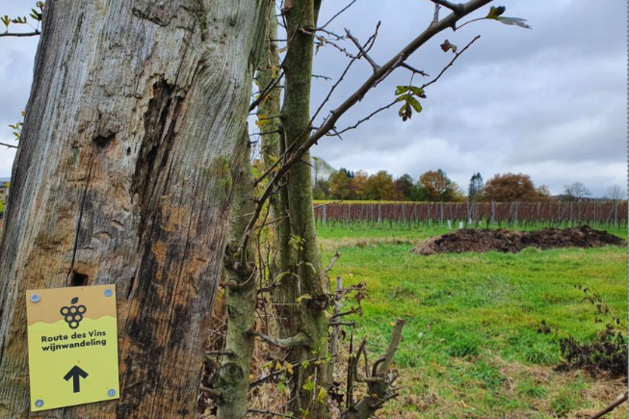 Bourgondische Route des Vins-wandeling van Vaals naar Vijlen - De Limburger