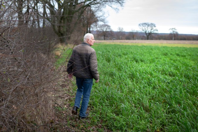 Wil (82) strijdt met stichting al kwart eeuw om de Kollenberg in Sittard groen te houden: ‘Dit paradijsje mag niet verloren gaan’