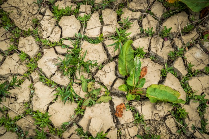 200 miljoen tegen droogte in Limburg en Brabant