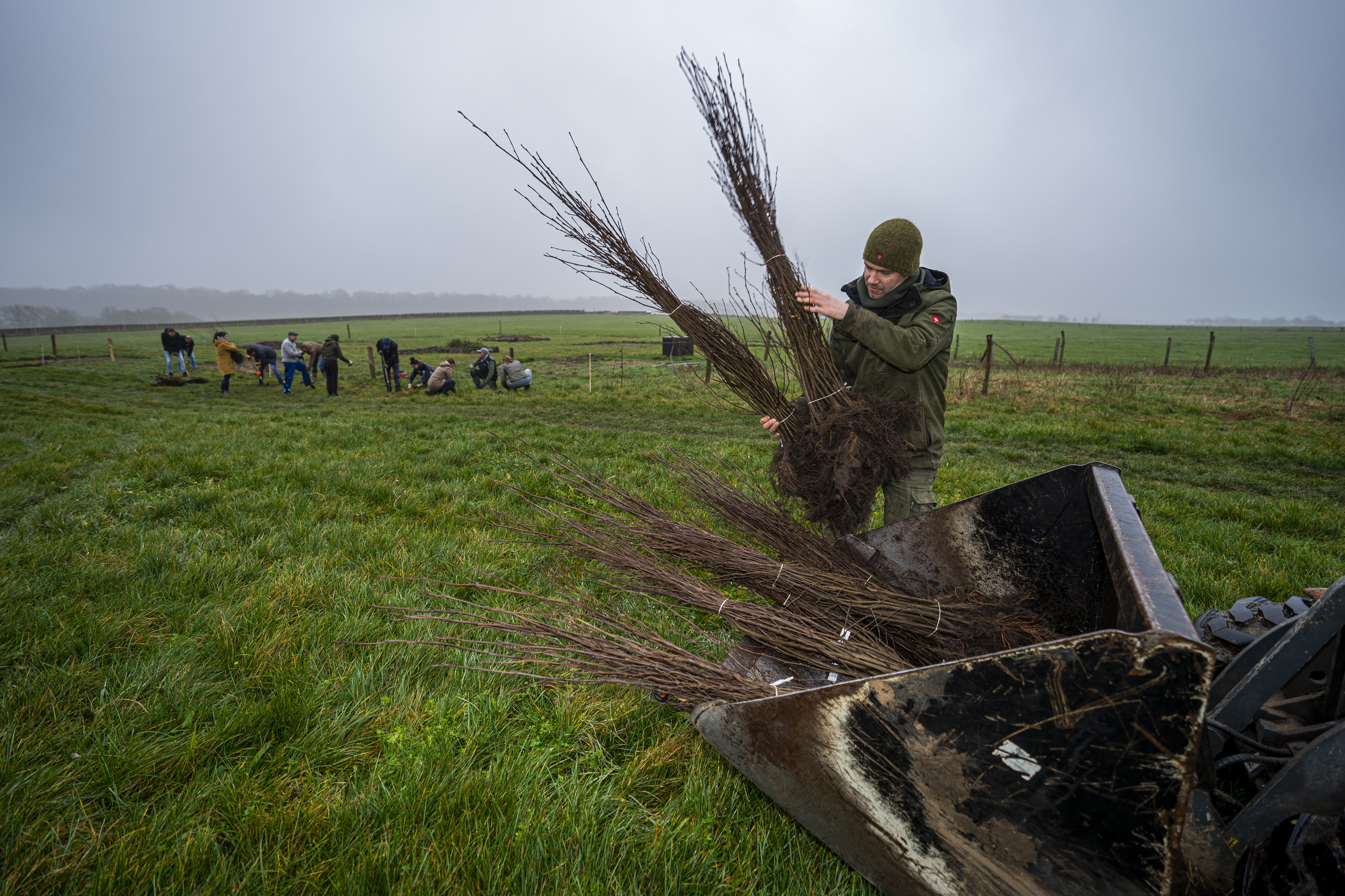 Japanse peren, peperboompjes of daslook; in Sint Geertruid groeit een bos om van te smullen - De Lim