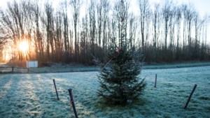 Weer.nl verwacht koude Kerstmis maar zachte jaarwisseling