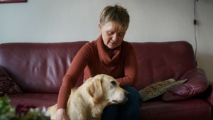 Hulphond doodsbang voor vuurwerk: blinde vrouw uit Stein kan  de deur niet meer uit 