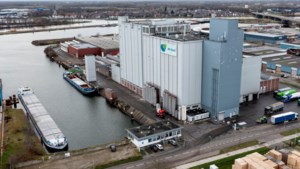 Begin 2022 hogere schoorsteen op ‘stinkfabriek’ in Maasbracht