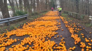 Mysterie: op 6 plekken in Limburg wegdek bezaaid met duizenden sinaasappels, politie tast in het duister