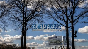 Actiegroep demonstreert tegen kap Sterrebos: ‘Oud groengebied is niet te compenseren’
