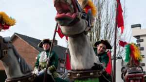 Strengere regels voor paarden in Duitse carnavalsoptochten: niet meer drogeren en te dikke ruiter moet lopen