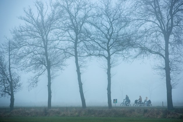 Kleine wereld deze week, en nu eens niet alleen vanwege corona