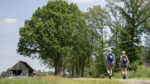 Lente Challenge in Venray: 310 kilometer wandelen in de maand mei