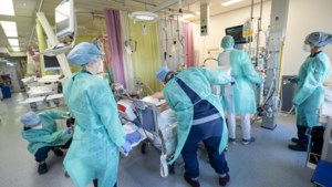 Recordaantal omikronbesmettingen ook in Limburg, omslagpunt in ziekenhuizen lijkt bereikt 