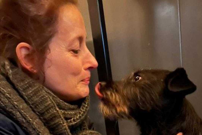 Hond na dagenlange vermissing aangetroffen op coronatestlocatie: ’Hoe verzin je het?’