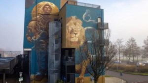 Limburgse kunstenaar in de race voor prijs voor mooiste muurschildering ter wereld