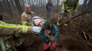 Hondje Seppie door zes brandweermannen gered uit konijnenhol in bossen in Swalmen  