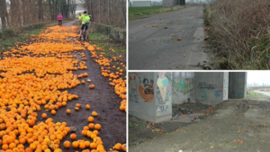 Honderden sinaasappels vlak over de grens gedumpt, maand na het mysterie in Limburg