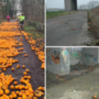 Honderden sinaasappels vlak over de grens gedumpt, maand na het mysterie in Limburg