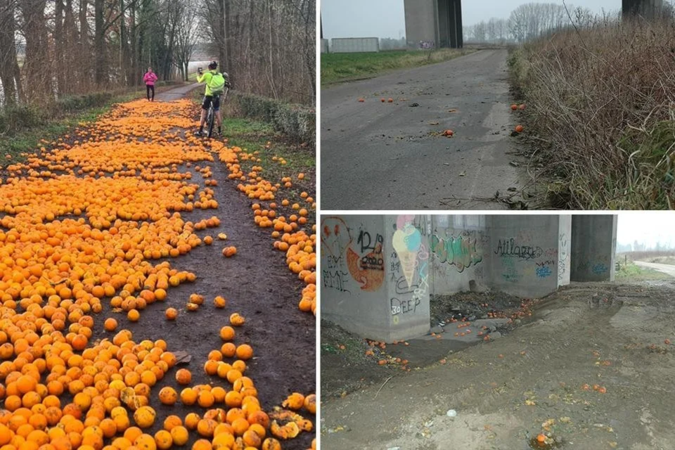 Honderden sinaasappels vlak over de grens gedumpt, maand na het mysterie in Limburg