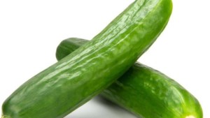 Kompany gaat komkommers via de klok van veiling ZON verkopen