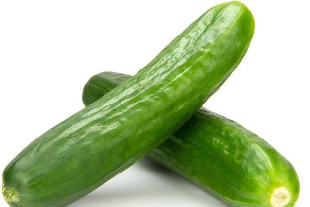 Kompany gaat komkommers via de klok van veiling ZON verkopen