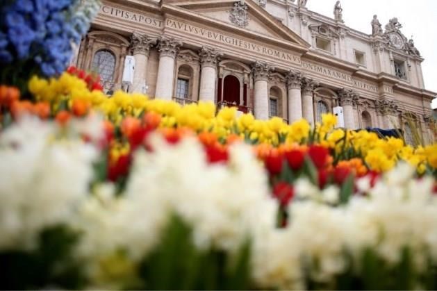 Geen bloemenzee uit Posterholt meer bij pauselijke Urbi et Orbi in Rome