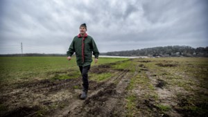 Boer uit Landgraaf wil aardbeien inruilen voor zonnepanelenpark van achttien voetbalvelden groot