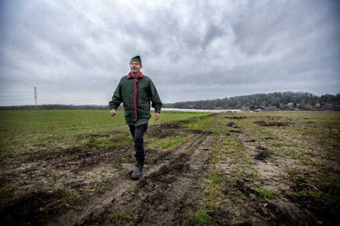 Boer uit Landgraaf wil aardbeien inruilen voor zonnepanelenpark van achttien voetbalvelden groot