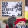 Activisten bezetten Sterrebos bij Nedcar in Born en negeren noodbevel 