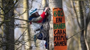 Actievoerders in bomen Sterrebos in Born mogen worden bevoorraad