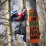 Actievoerders in bomen Sterrebos in Born mogen worden bevoorraad
