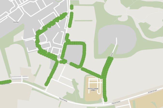 Ruim 1100 nieuwe bomen voor Heerlen staan op de kaart: kijk hier waar ze bij jou in de buurt geplant worden