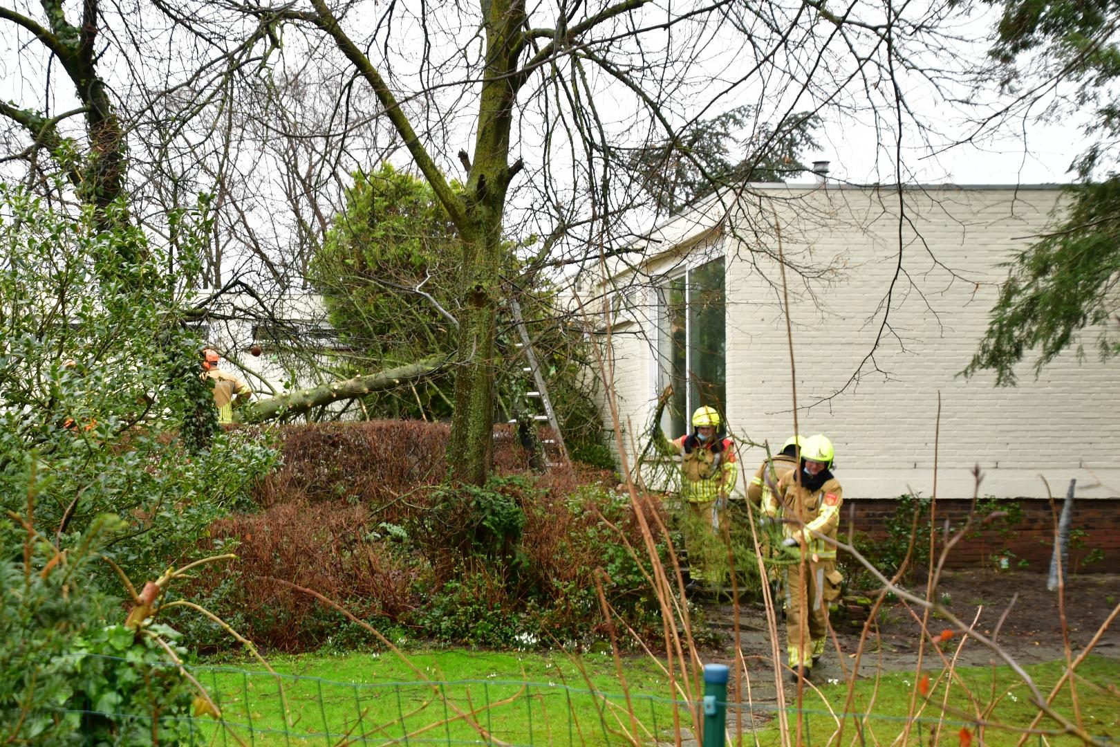 Stormschade In Limburg: Boom Tegen Woning, Wateroverlast Op ... - De ...