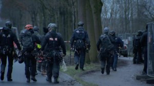 Video: Ontruiming Sterrebos bij VDL Nedcar begonnen: agenten halen activisten uit de bomen
