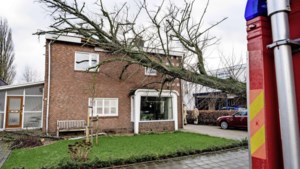 Drukte bij de Limburgse dakdekkers: ‘Het loopt letterlijk storm’
