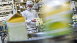 Hogere prijzen ‘noodzakelijk’ bij zuivelconcern FrieslandCampina: melk en toetjes duurder