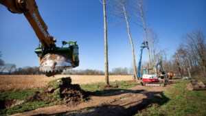 Ruim zestig bomen in Sterrebos verplaatst naar alternatief bos