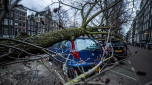 Schade door stormen loopt bij ASR mogelijk op tot 60 miljoen euro