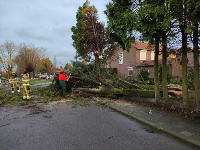 Hevige windvlagen veroorzaken schade in delen van Limburg