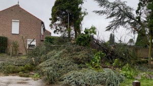 Hevige windvlagen veroorzaken schade in delen van Limburg