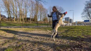 Wethouder Heerlen: ‘Weinig hondenuitlaatplekken in centrum, maar je bent ook snel in het Aambos’