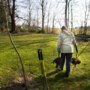 Handen uit de mouwen bij tweede Limburgse BomenBoost: zaailingen van bomen gratis verplaatst