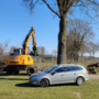 Man uit Neer parkeert auto voor boom op sportpark ’t Maasveld en voorkomt zo dat er nóg drie geveld worden