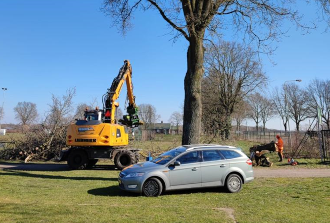 Man uit Neer parkeert auto voor boom op sportpark ’t Maasveld en voorkomt zo dat er nóg drie geveld worden