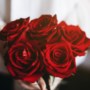 Internationale Vrouwendag is kassa voor bloemisten in Noord-Limburg: ‘Het lijkt wel Valentijnsdag’ 