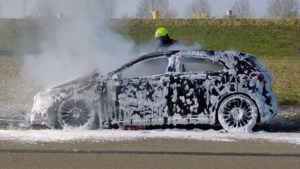 Rijdende auto vat vlam in Maasbracht: bestuurder net op tijd uit voertuig
