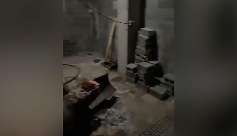 Oleg en Katerina vluchtten met familie naar Arcen: ‘Zolang de bommen niet naast jou inslaan, denk je dat het meevalt’