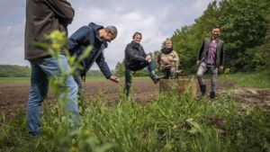 Herenboeren Venlo zoekt boer: de landbouwgrond is er, nu nog iemand die er gewassen op gaat verbouwen