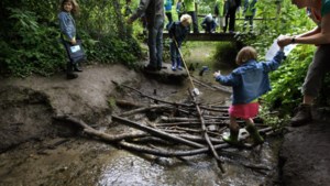 Onderzoek: ‘drastische maatregelen’ nodig tegen erosie in Zuid-Limburgse beken 